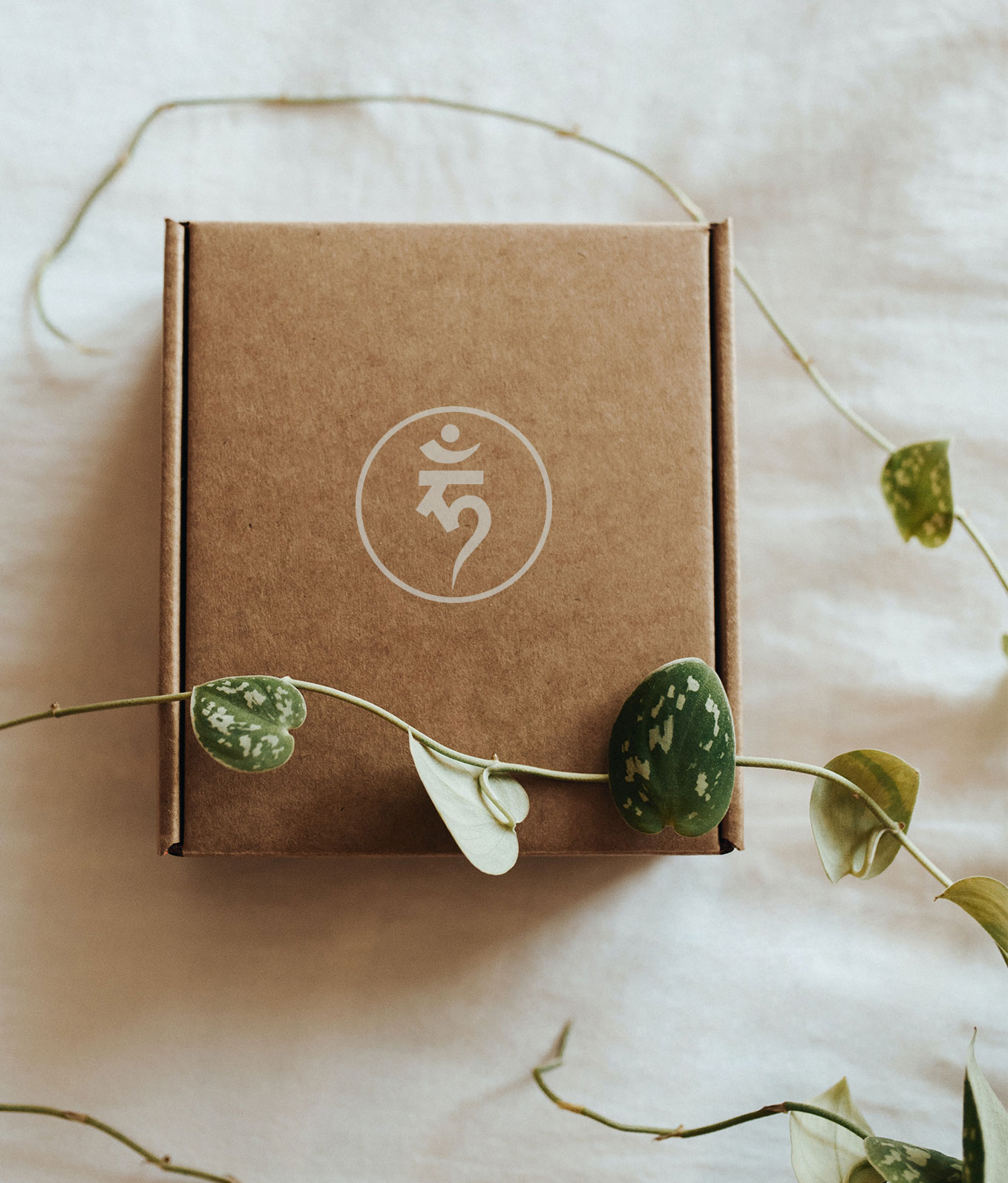 Ethical and sustainable fashion products packaging
